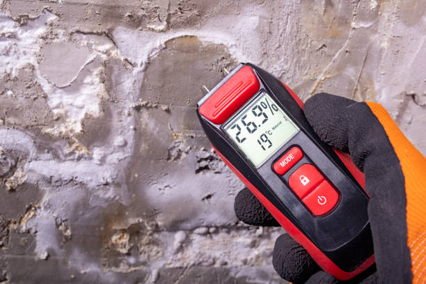 Best Crawl Space Mold Removal  in Cusseta, GA