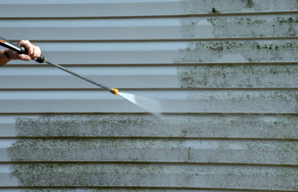 Best Mold Cleaning Services  in Cusseta, GA