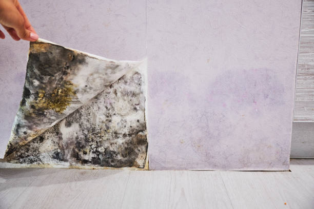 Water Damage Restoration in Cusseta, GA